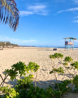 ¡Nos vemos México! Adiós fish tacos, chilaquiles, big waves, dirt roads, and all... Now let’s hope all goes well en route to RDU. See you guys at home! 🇲🇽 😘🌮#lapunta #puertoescondido #oaxaca #mexico #playas #lapuntapuertoescondido