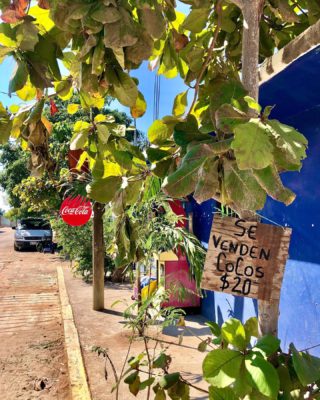 Stuff around town... #puertoescondido #mexico 🏖 🇲🇽